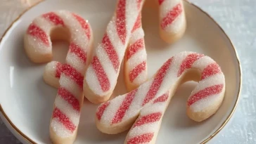 Biscuits en forme de canne en sucre- 1