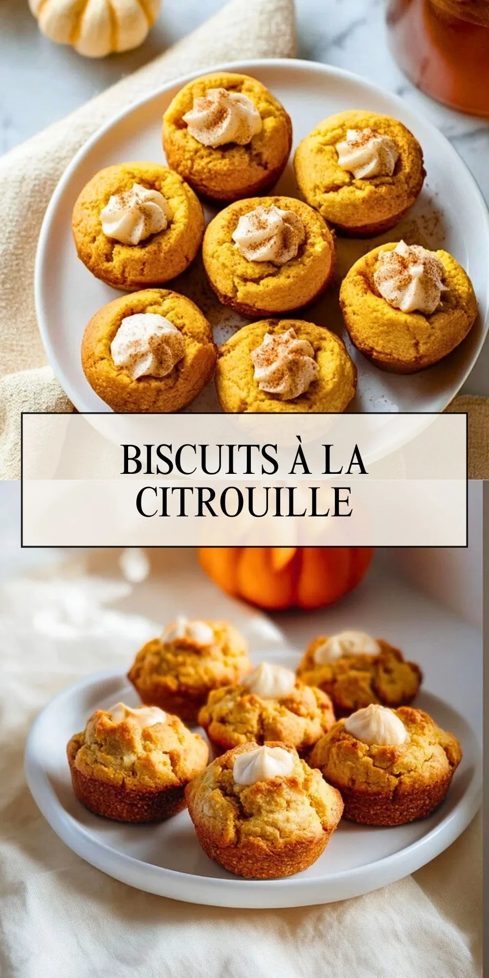Biscuits à la citrouille Pin 1