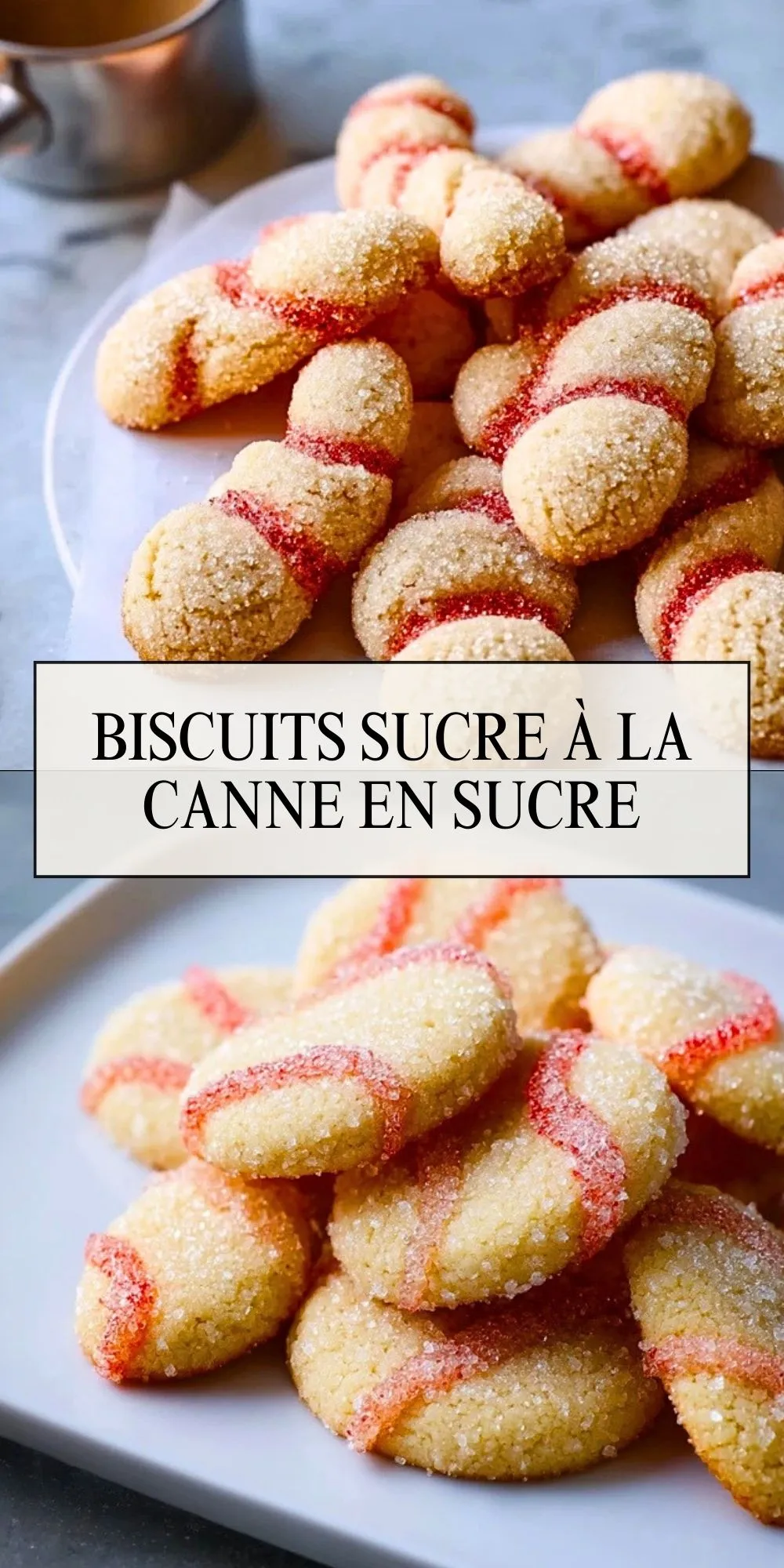 Biscuits Sucre à la Canne en Sucre - Pin 1