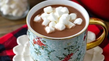 Chocolat Chaud à la Mijoteuse - 1