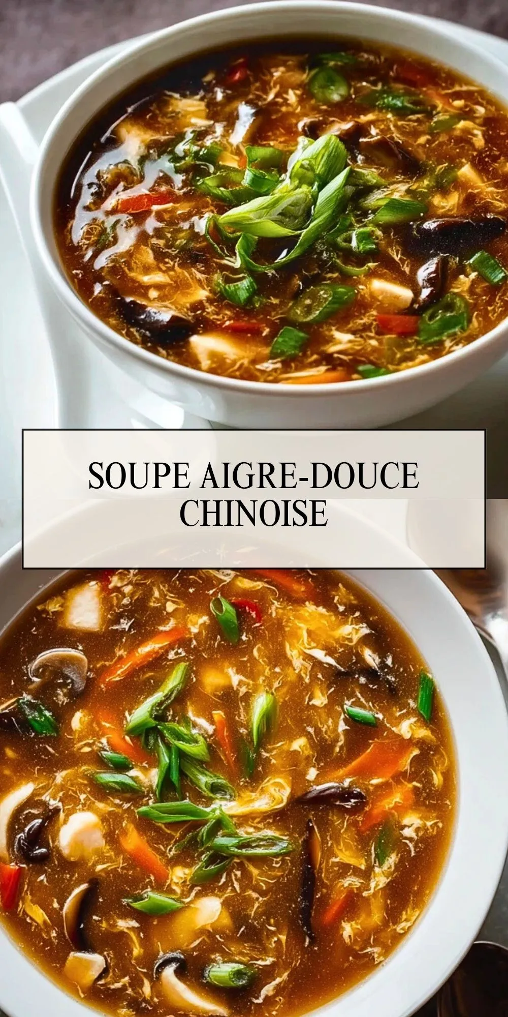 Soupe Aigre-Douce Chinoise - Pin 1