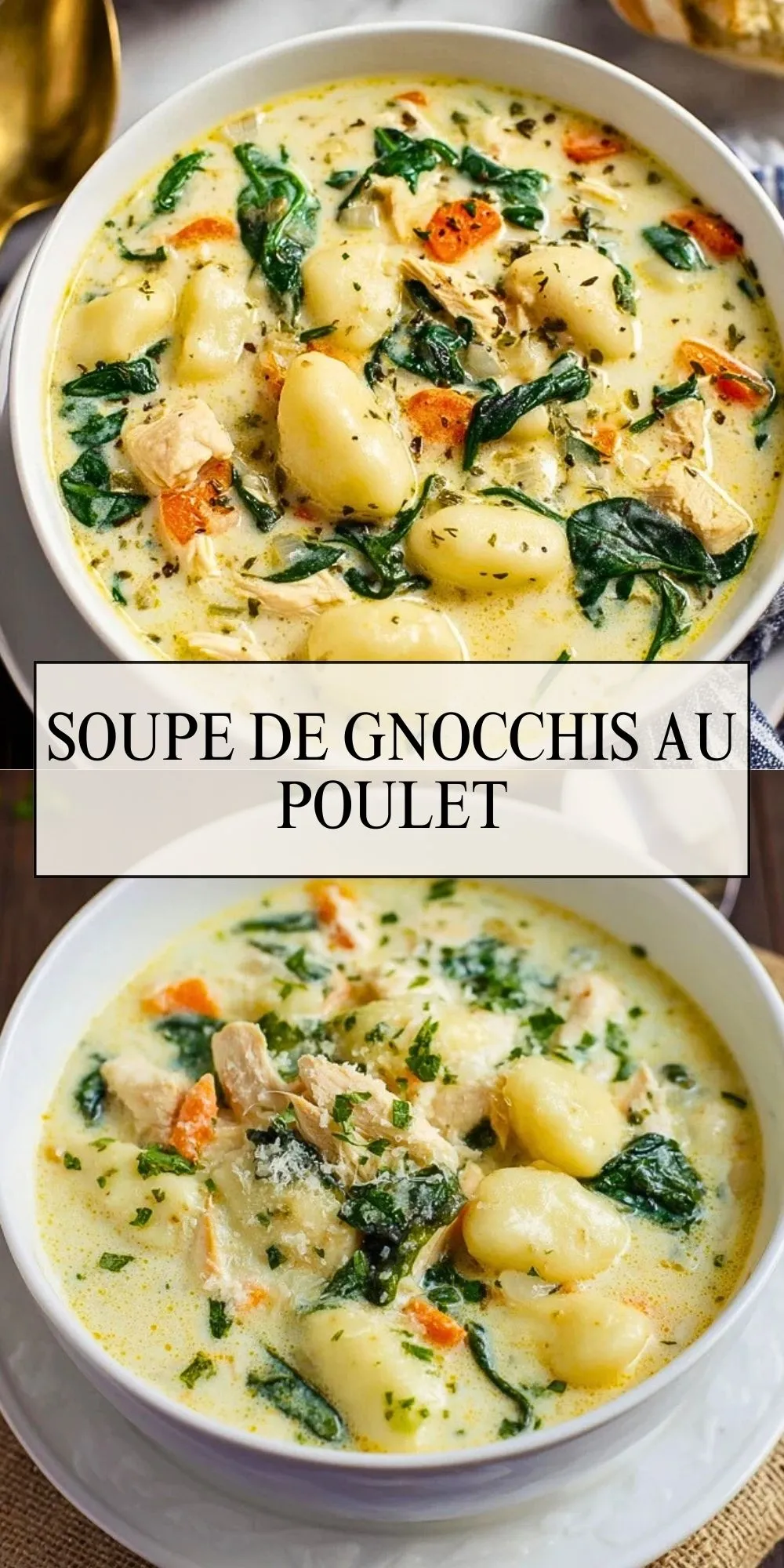 Soupe De Gnocchis Au Poulet - Pin 1