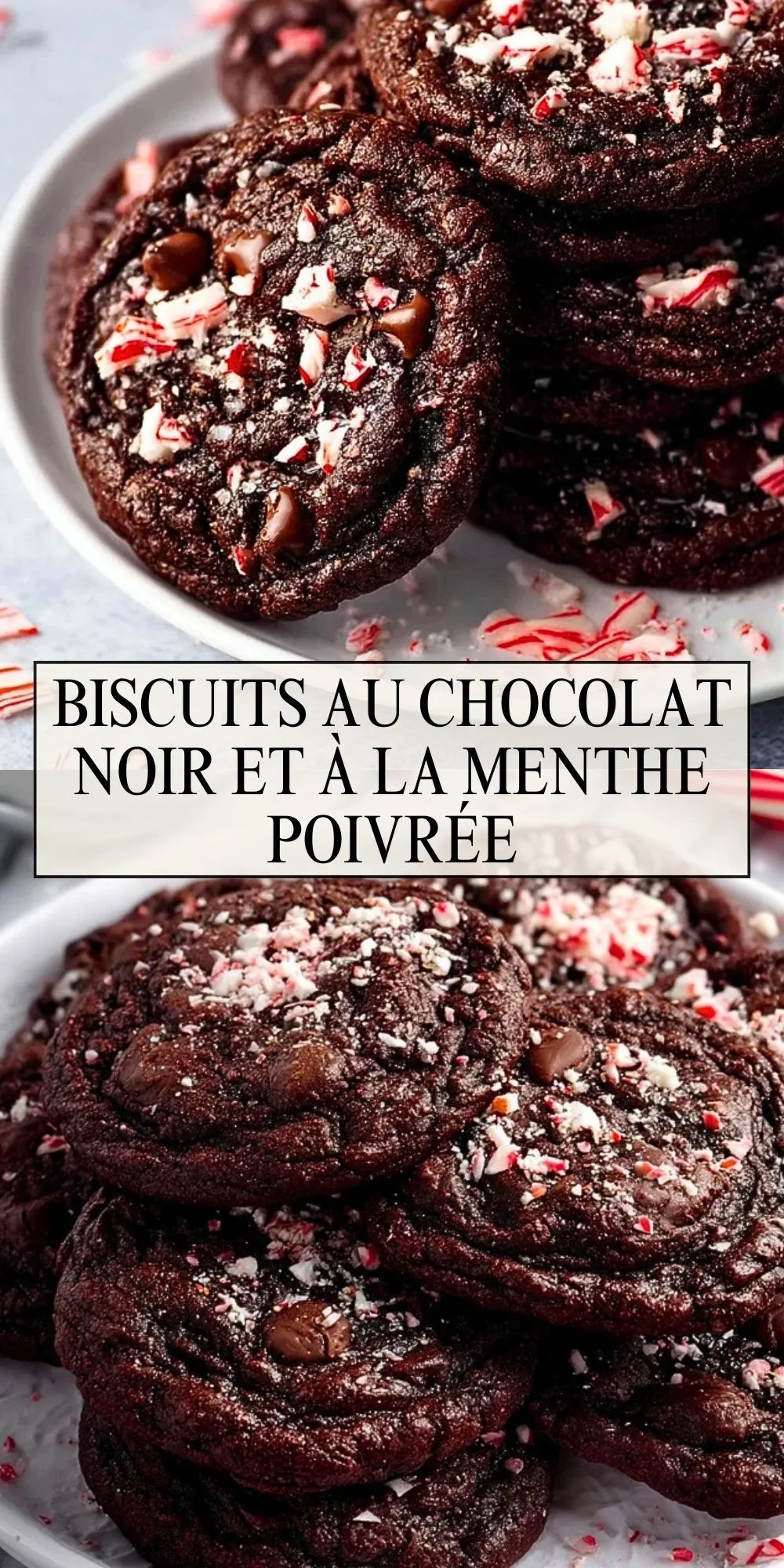 Biscuits Au Chocolat Noir Et À La Menthe Poivrée - Pin 1