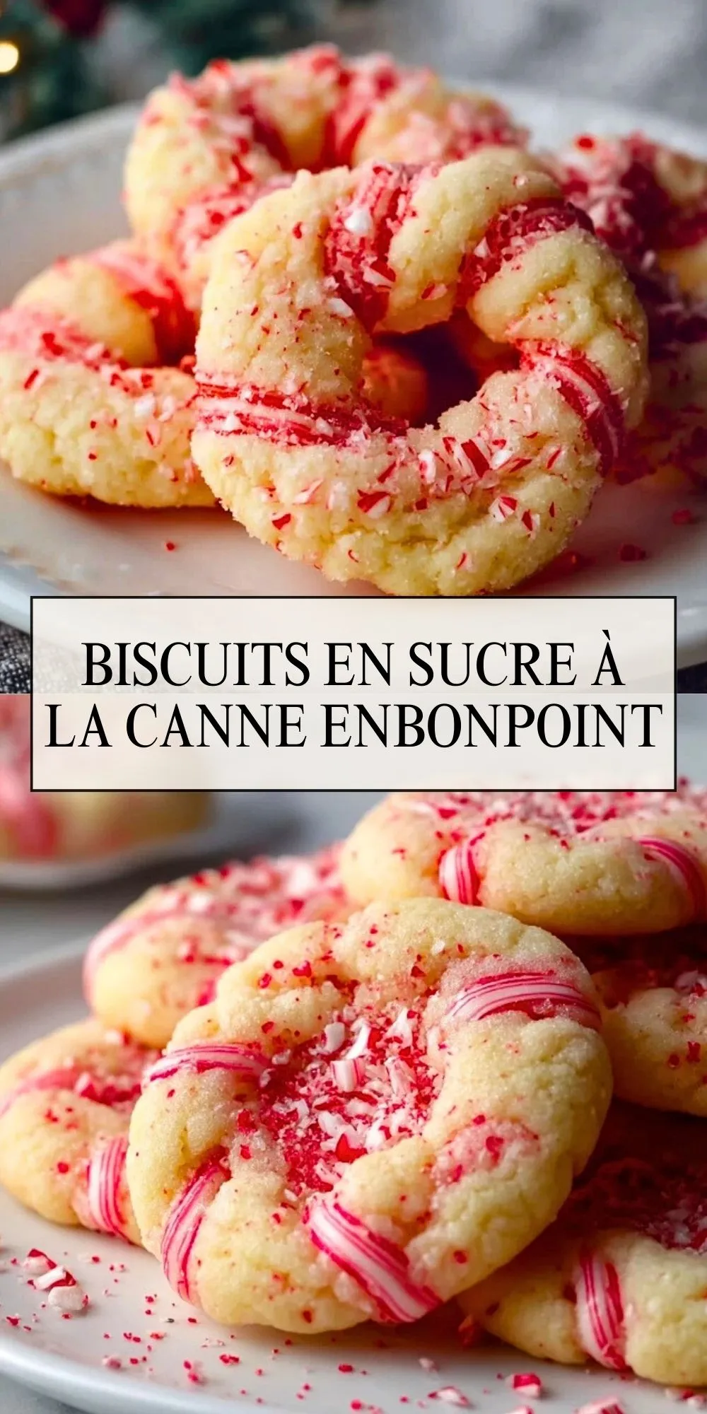 Biscuits En Sucre À La Canne Enbonpoint - Pin 1