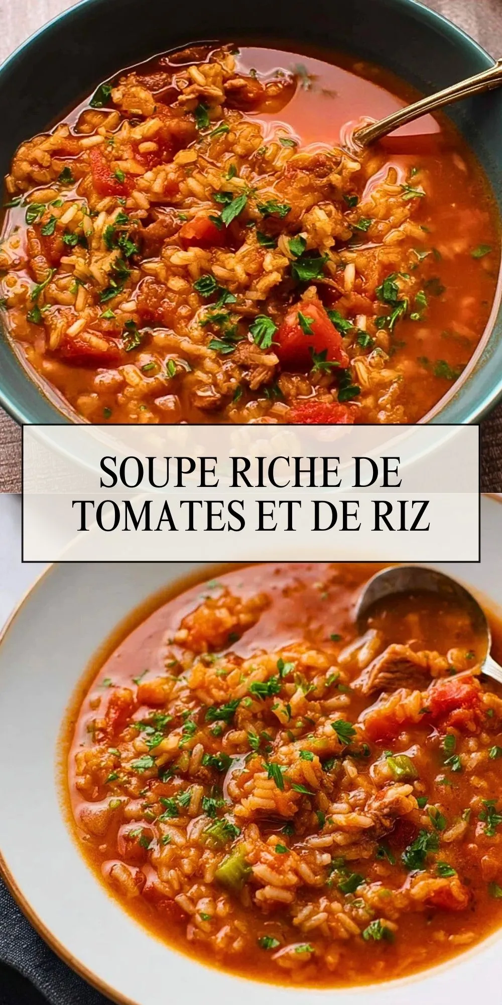 Soupe Riche De Tomates Et De Riz
