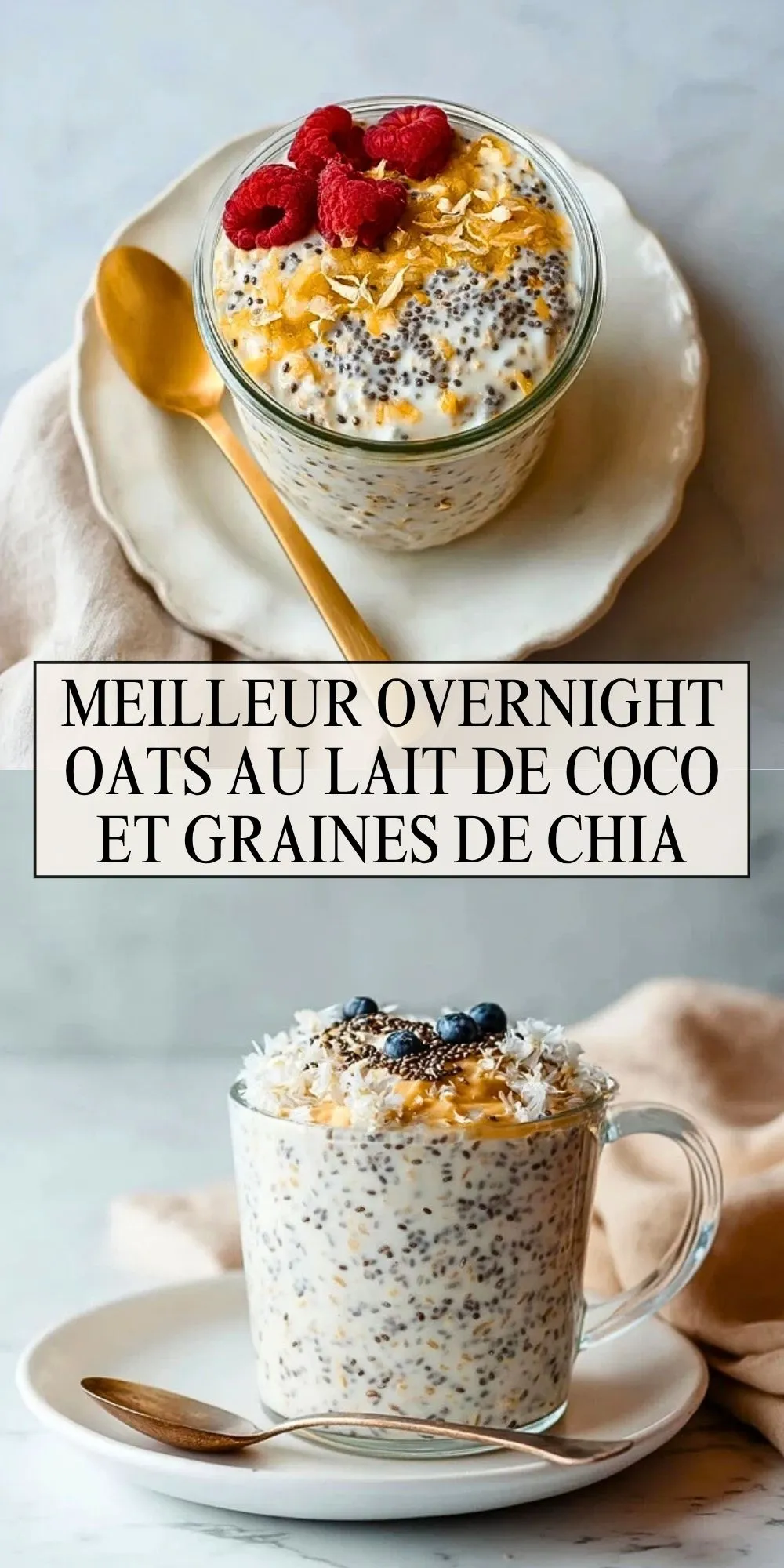 Meilleur Overnight Oats Au Lait De Coco Et Graines De Chia - Pin 1