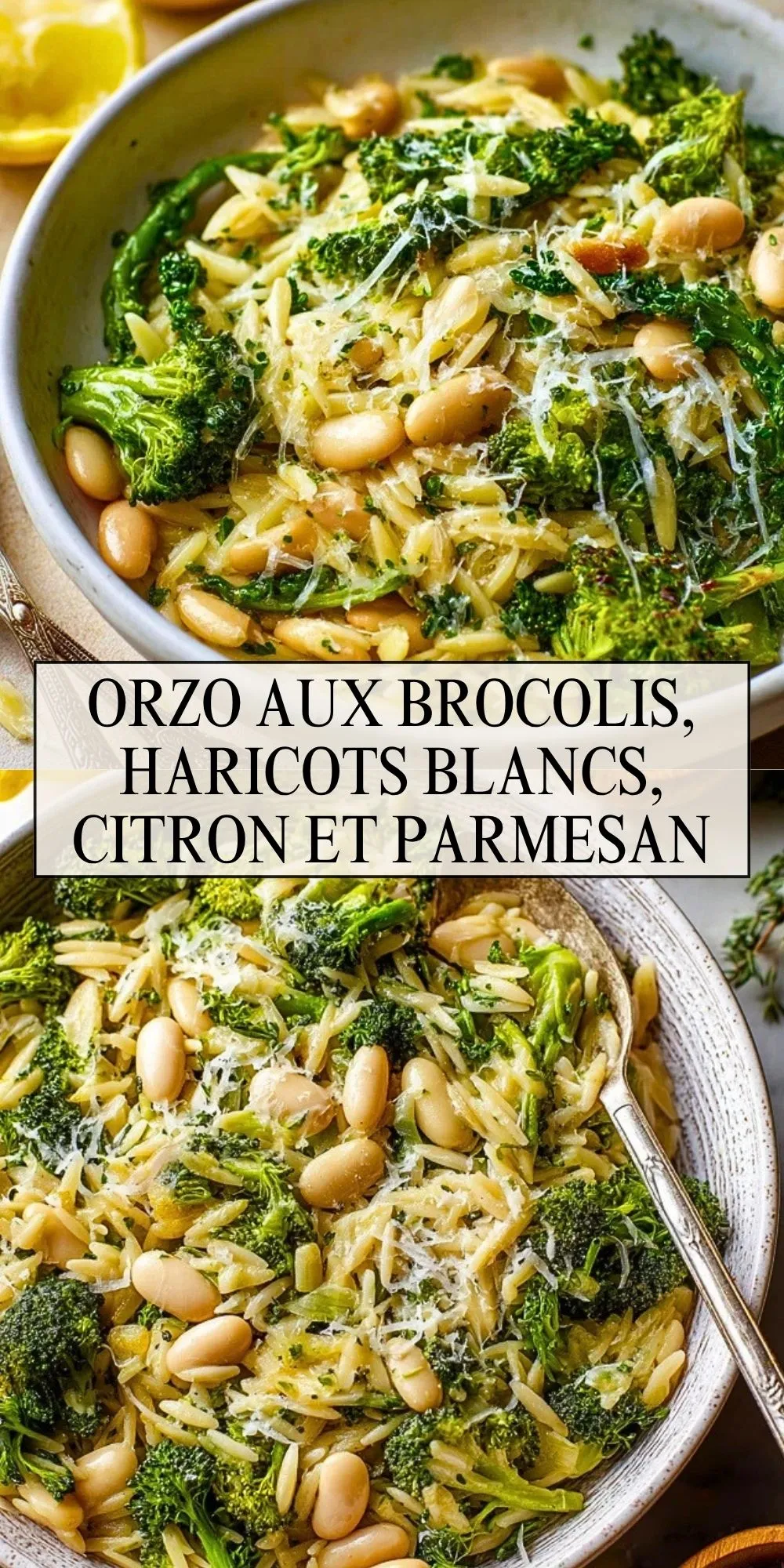 Orzo Aux Brocolis, Haricots Blancs, Citron Et Parmesan - Pin 1