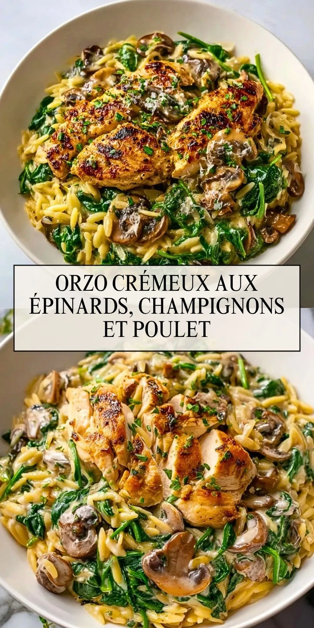 Orzo Crémeux aux Épinards, Champignons et Poulet - Pin 1 (1)