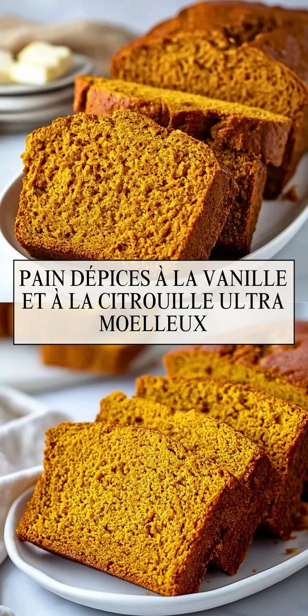 Pain DÉpices à la Vanille et à la Citrouille Ultra Moelleux - Pin 1