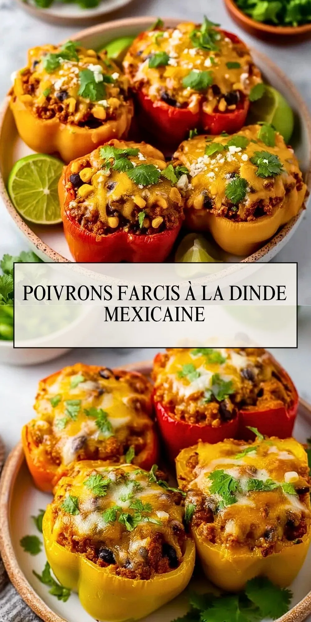 Poivrons Farcis à la Dinde Mexicaine - Pin 1
